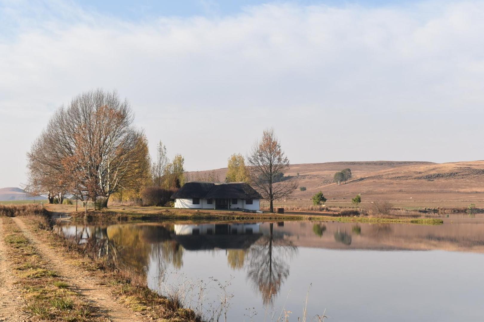 Dieu Donne Cottage Андерберґ Екстер'єр фото